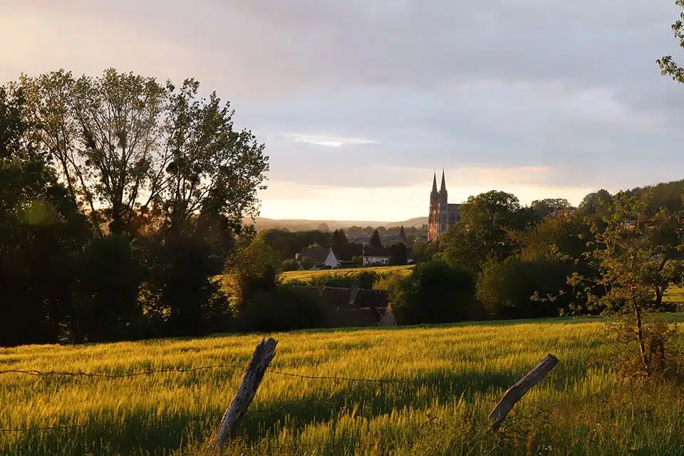 L’attribut alt de cette image est vide, son nom de fichier est cnotre-dame-de-montligeon-img_1386_cathedrale-dans-les-champs-web-3.jpg.