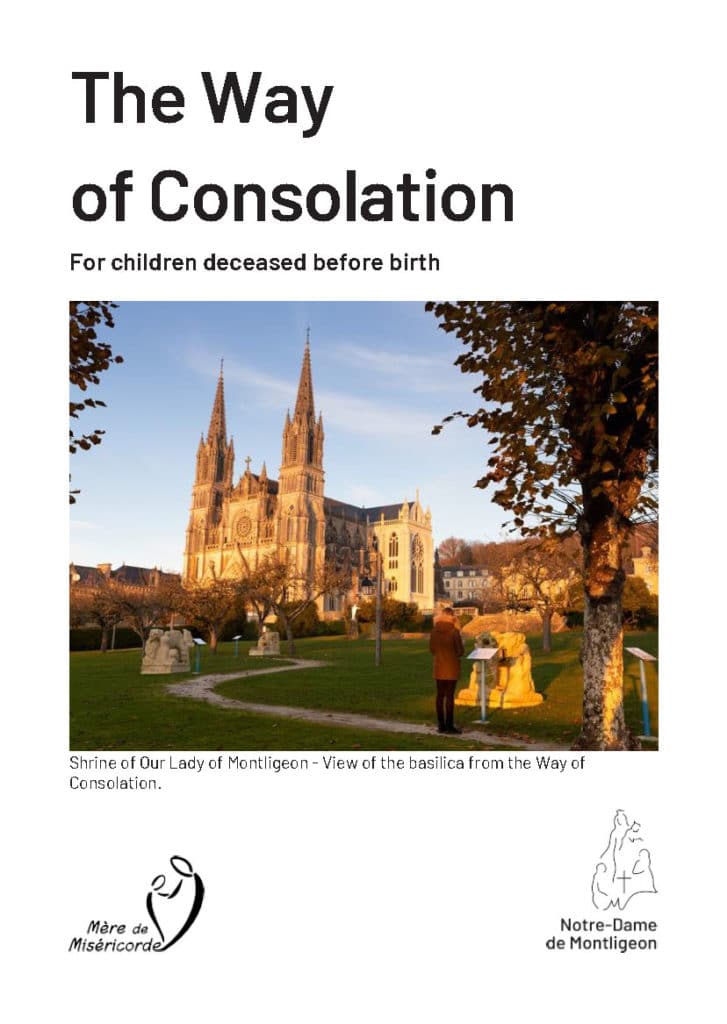 The Way of Consolation addresses people faced with the loss of the child they conceived and who did not get to live, whatever the reasons may be (ectopic pregnancy, miscarriage, abortion, medically terminated pregnancy, still born babies, etc.)