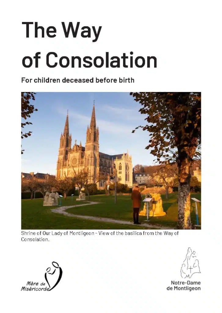 The Way of Consolation addresses people faced with the loss of the child they conceived and who did not get to live, whatever the reasons may be (ectopic pregnancy, miscarriage, abortion, medically terminated pregnancy, still born babies, etc.)