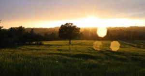 (c)Sanctuaire-N-D-de-Montligeon