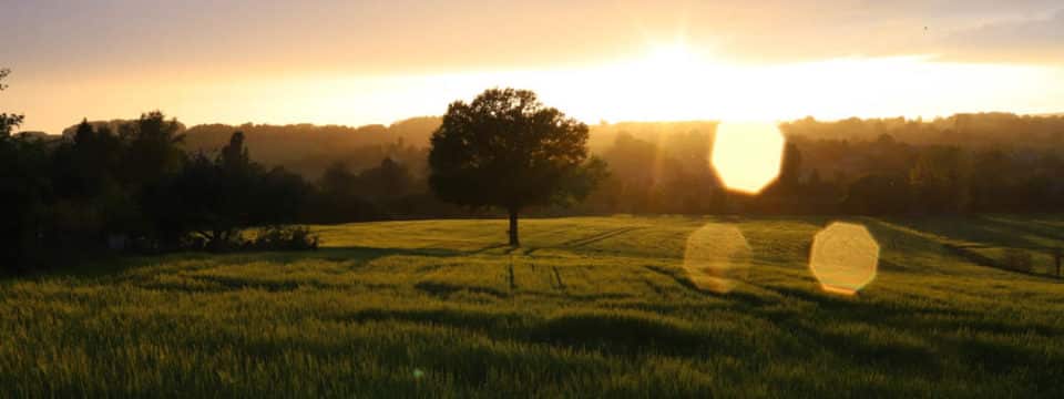 (c)Sanctuaire-N-D-de-Montligeon