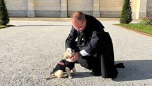 Don Paul Denizot avec un petit chiot à Montligeon