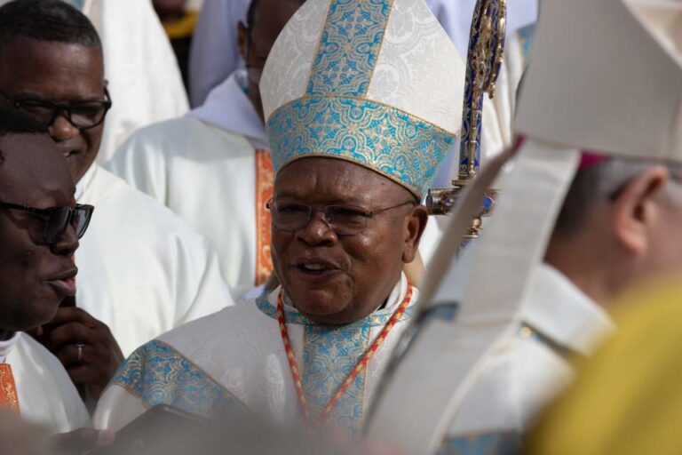 Le cardinal Fridolin Ambogo, archevêque de Kinshasa présidait le pèlerinage du Ciel du 12 novembre 2023 au sanctuaire Notre-Dame de Montligeon