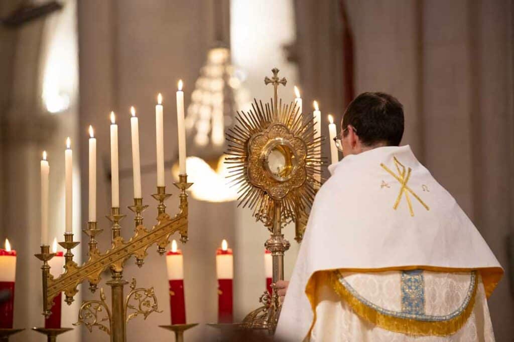 The promises of the Fraternité Notre-Dame de Montligeon, November 17, 2024.