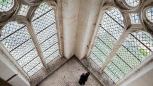 Le 17 septembre 2025, une nouvelle étape des travaux de la basilique a débuté avec la restauration des vitraux des tours. Ce chantier a été confié au maître verrier Cyril Gouty.