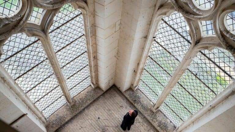Le 17 septembre 2025, une nouvelle étape des travaux de la basilique a débuté avec la restauration des vitraux des tours. Ce chantier a été confié au maître verrier Cyril Gouty.